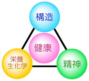 �J�C���g���C�A���O��